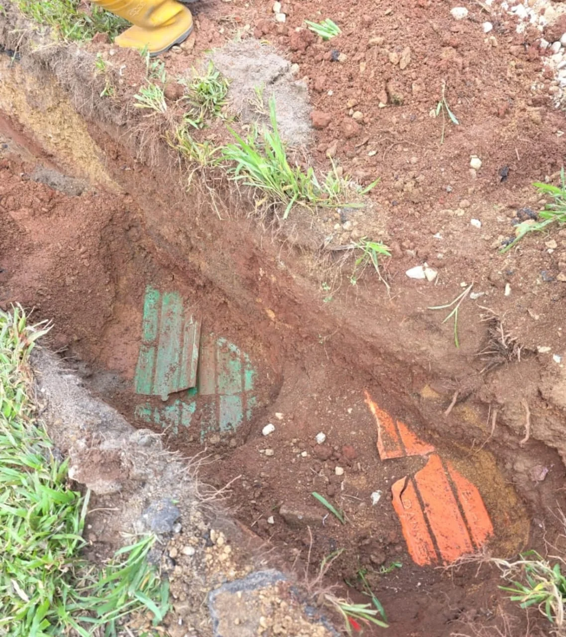 UMAP Activity - umap (3)